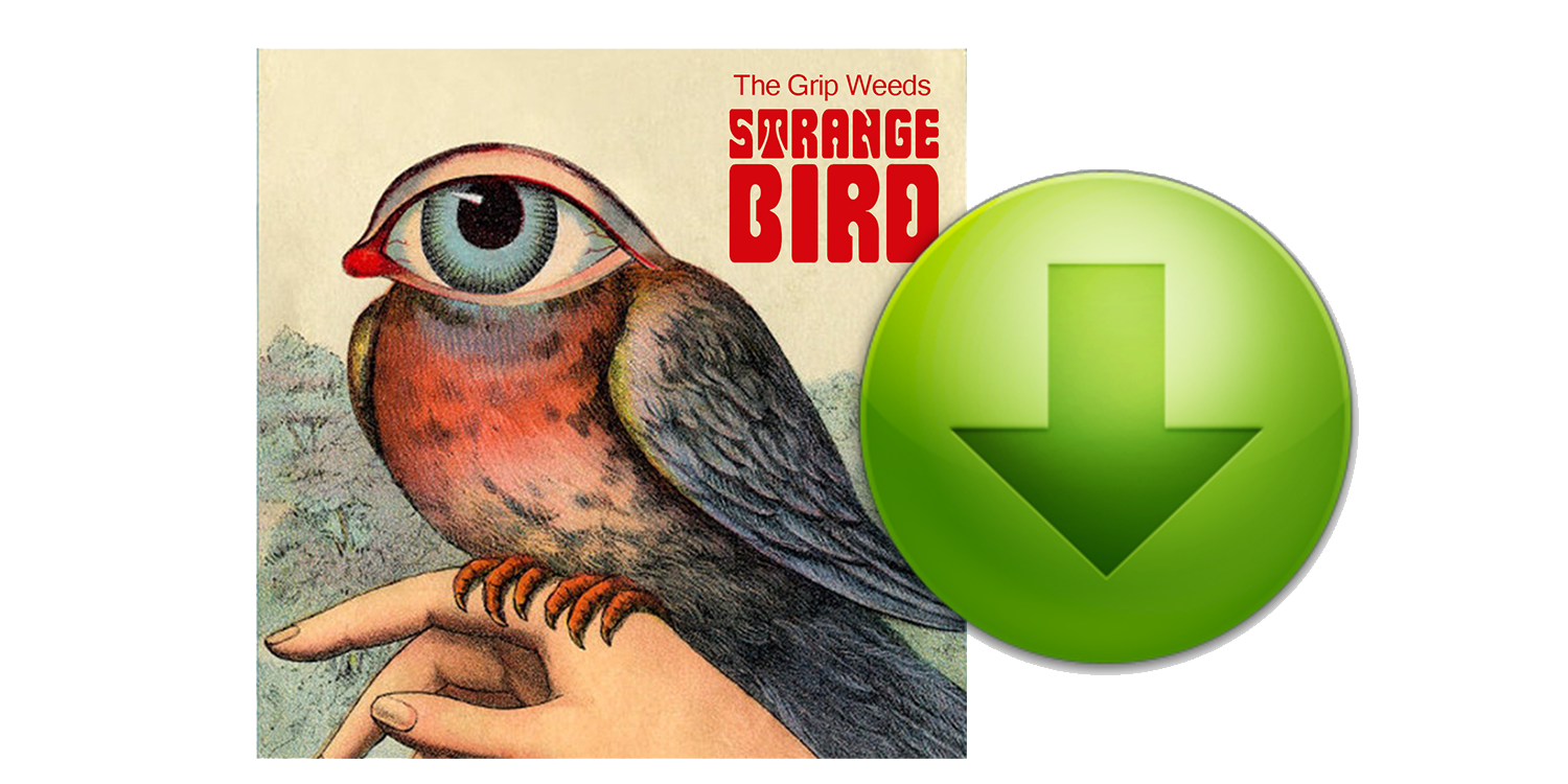 Strange Bird EP